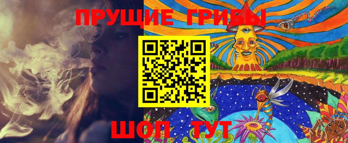 Галлюциногенные грибы Cubensis Анжеро-Судженск